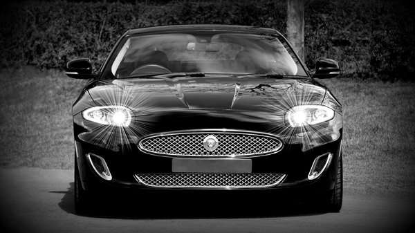 Décryptage des règles du Moto racing